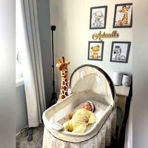 Selling delta baby bassinet. I used it for my daughter but she grew out of it.